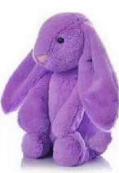 Blank sublimation bunnies bunny